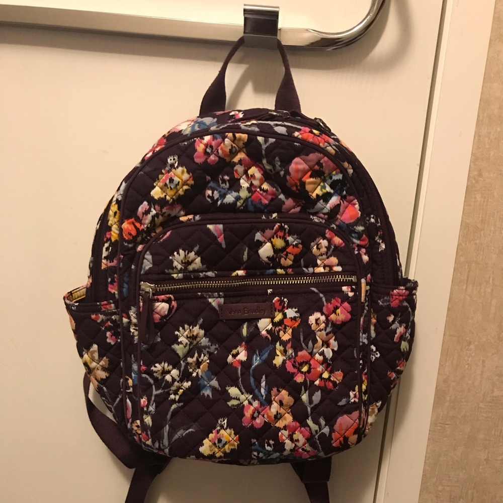 Small Iconic Backpack in Indiana Rose